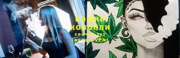 дурь Гусь-Хрустальный