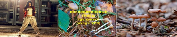 МДМА Гусев