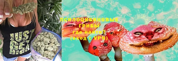 дурь Гусь-Хрустальный