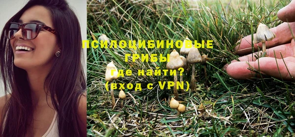 дурь Гусь-Хрустальный