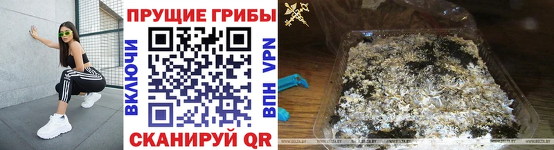 Псилоцибиновые грибы Cubensis  Керчь 