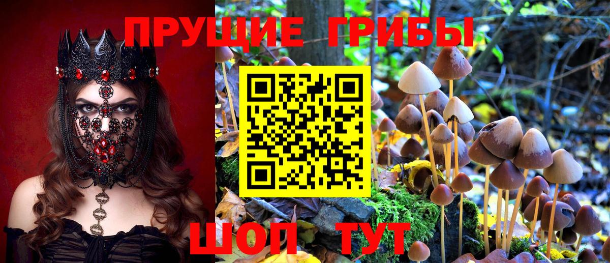 Галлюциногенные грибы Magic Shrooms Керчь