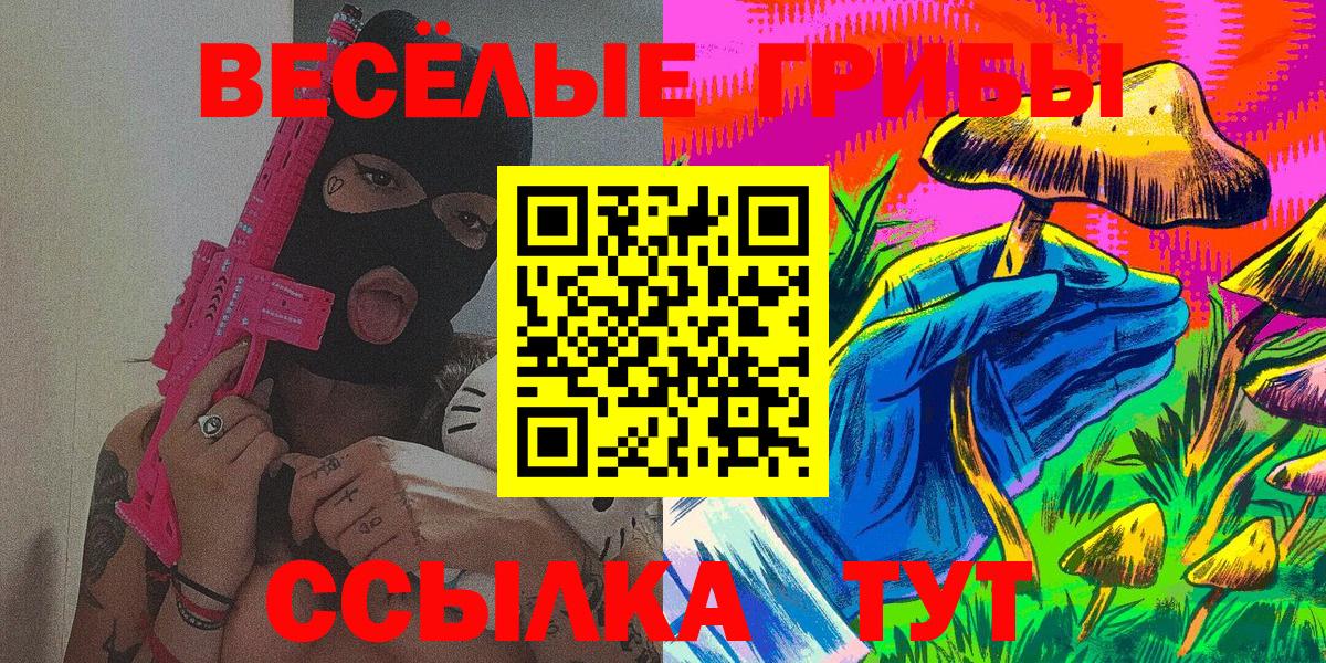 Псилоцибиновые грибы Psilocybine cubensis Керчь