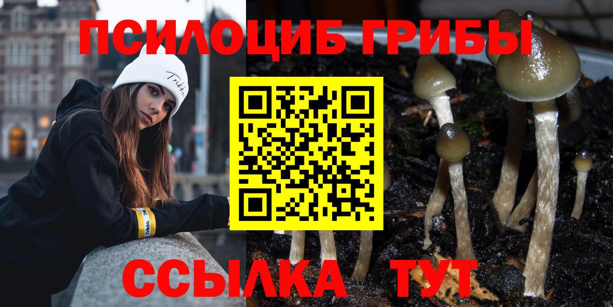 Галлюциногенные грибы ЛСД  Псилоцибиновые грибы MAGIC MUSHROOMS  Вход с VPN  где найти   Керчь 